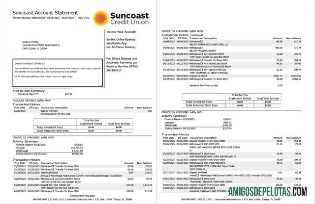 Extrato de conta bancária em branco dos EUA Suncoast modelo Word e PDF, 2 páginas